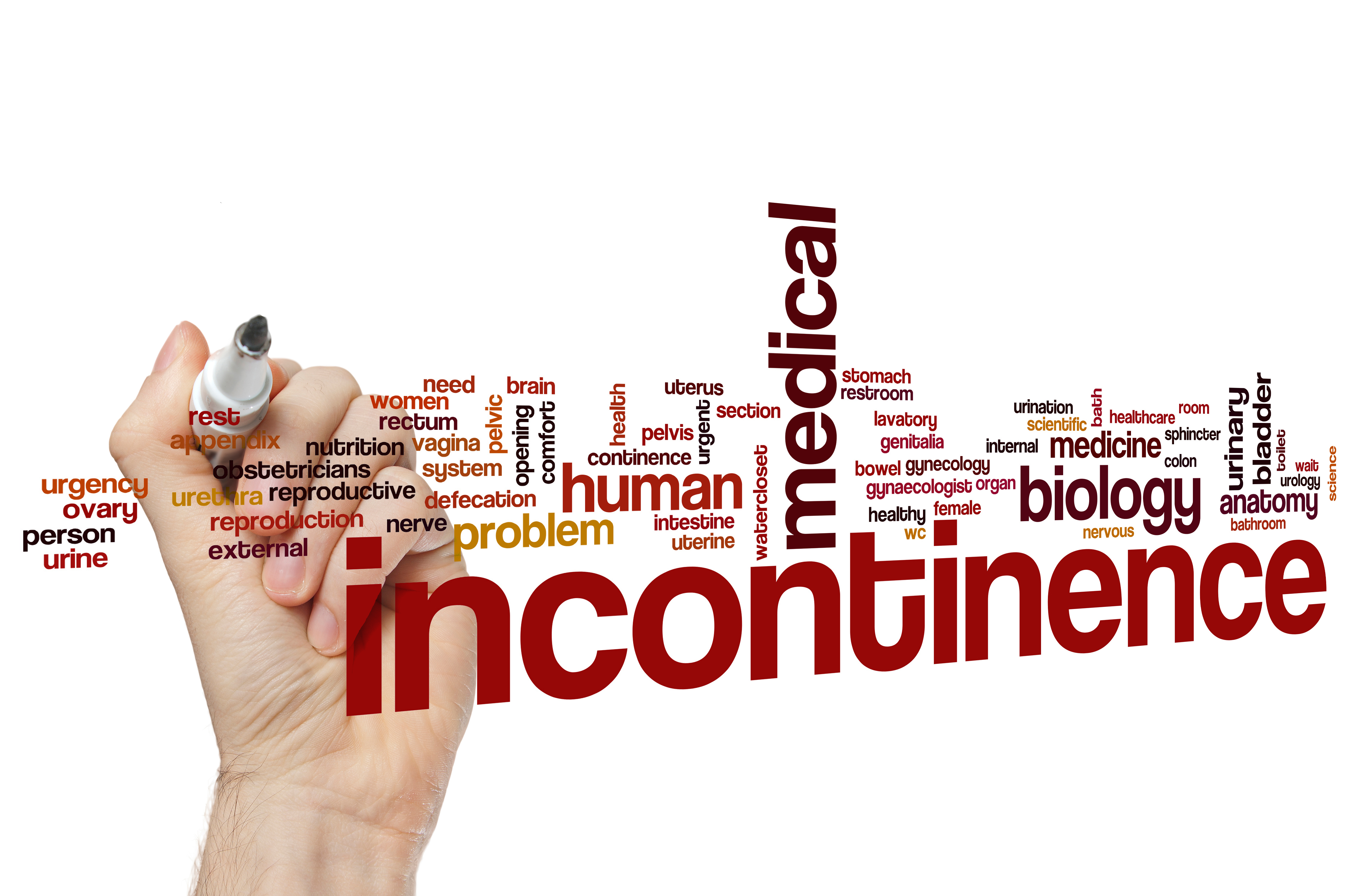 Stress Incontinence and Urge Incontinence: How to Tell the Difference
