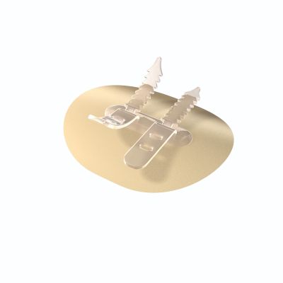 BioDerm 51300NSNACA - CathGrip Catheter and Tube Securement System, Double Strap, Large, Non-Sterile, BX 30